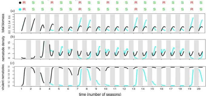 Figure 4. Graphical representation of two periodic rotation strategies over a 20-season time horizon:   the  1R+5S   optimal   strategy  (in   blue)   alternating   1   and   5   seasons   of resistant (R in red) and susceptible (S in green) plants, respec