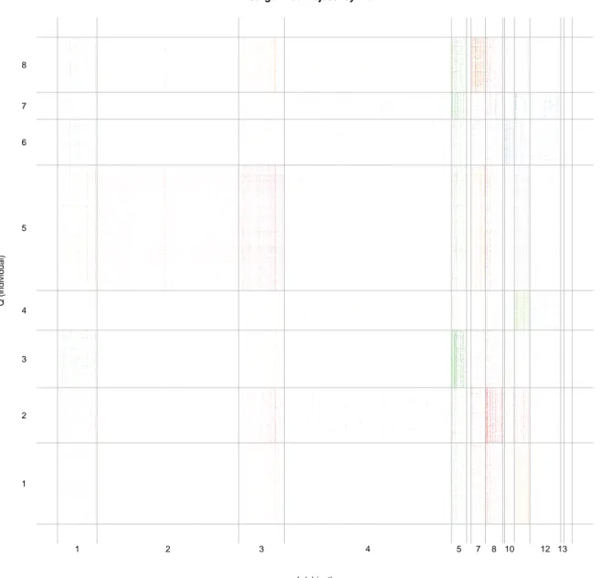 Figure 8: The Reorganized incidence matrix where nearby rows/columns belong to the same row/column cluster (delimited by grey lines)