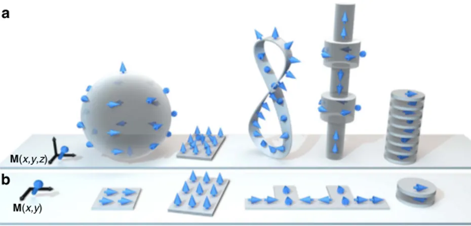 Figure 1 | Towards three-dimensional nanomagnetism. Schematic view comparing some examples of geometries and magnetic conﬁgurations (indicated by blue arrows) for (a) 3D and (b) 2D nanomagnetism