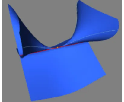 Fig. 3: Views of an algebraic curve and an algebraic surface.