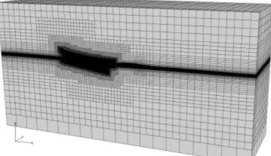 Figure 7 illustrates the surface elevation in one of our test-cases. 