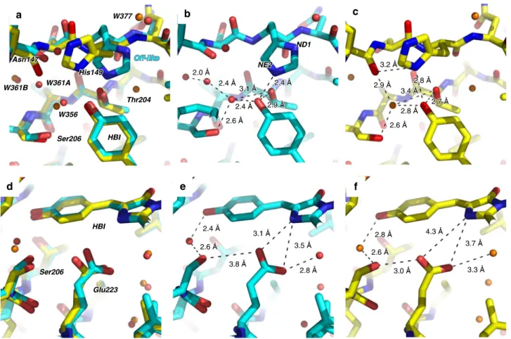 Fig. 6 Overlay of 10-ns intermediate-state and on-state structures. Overlay (a, d) of the chromophore region in the 10-ns intermediate structure (cyan, b, e) and the on-state structure (yellow, c, f) determined from SFX at room temperature (PDB entry code 