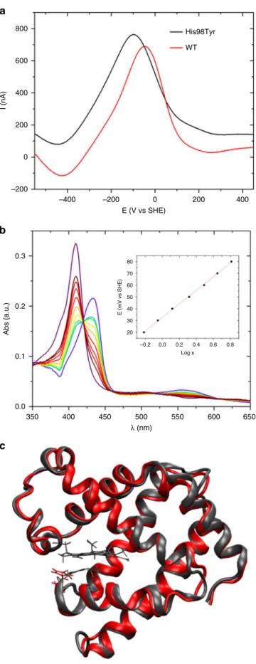 Fig. 6 In vitro and in silico studies of WT and mutant MB. a Typical square wave voltammograms recorded for WT (black) and p.His98Tyr mutant (red) human myoglobin immobilized on a Au electrode in 20 m M phosphate buffer, pH 7.0, 25 °C