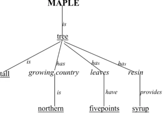 Figure 1: definition tree for maple.
