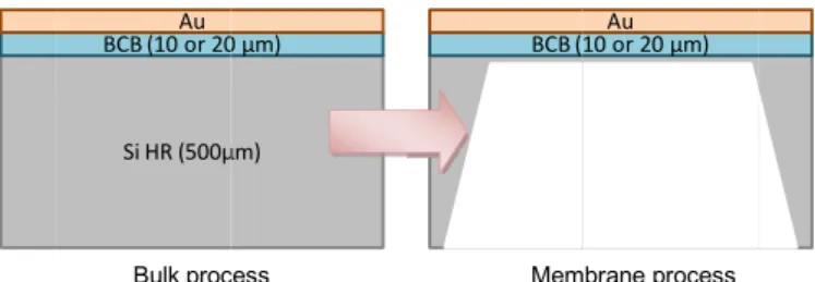 Fig. 4. Parallel Mµm)0 µm)cess rane process.   equals to two The selectedthe other how