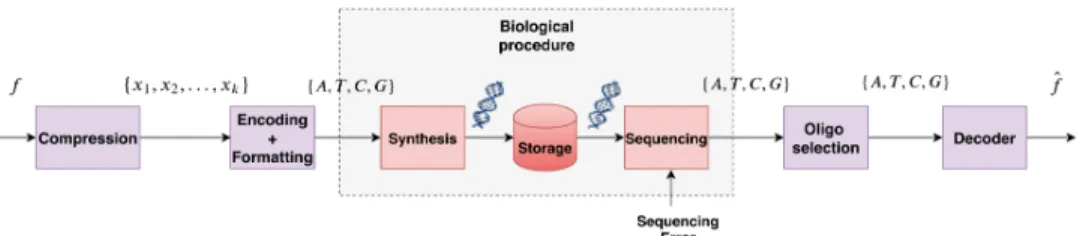 Fig. 1. Proposed workflow for storing images into DNA.