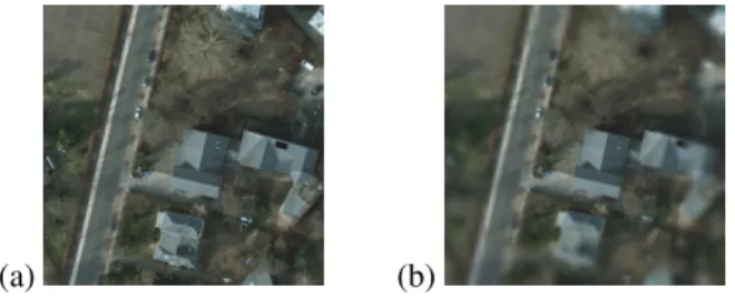 Fig. 1: Context taken to classify the central pixel. High- High-resolution everywhere (a)