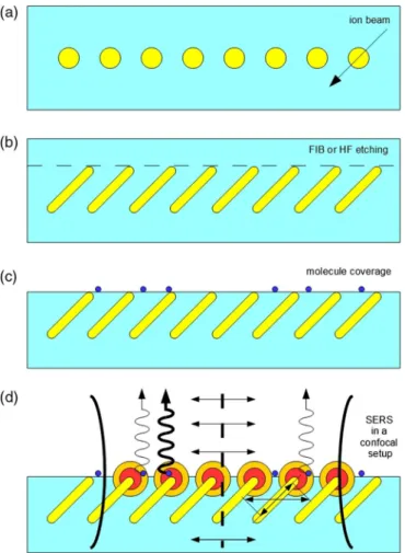 Figure 9 illustrates the fabrication procedure and the utilization of a surface-array IBSNA for SERS