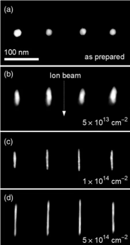FIG. 1. STEM-HAADF images of gold NPs embedded into silica: (a) as initially prepared; after vertical swift heavy  irradi-ation at fluences of (b) 5 × 10 13 cm −2 , (c) 1 × 10 14 cm −2 and (d) 5 × 10 14 cm −2 