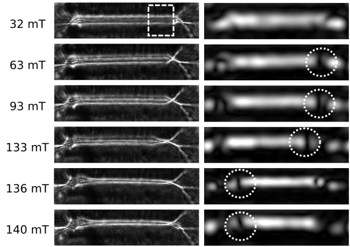 Figure 6. Experimental Fresnel contrast (left column) and associated amplitude (right column) analysis for corresponding fringe frequency