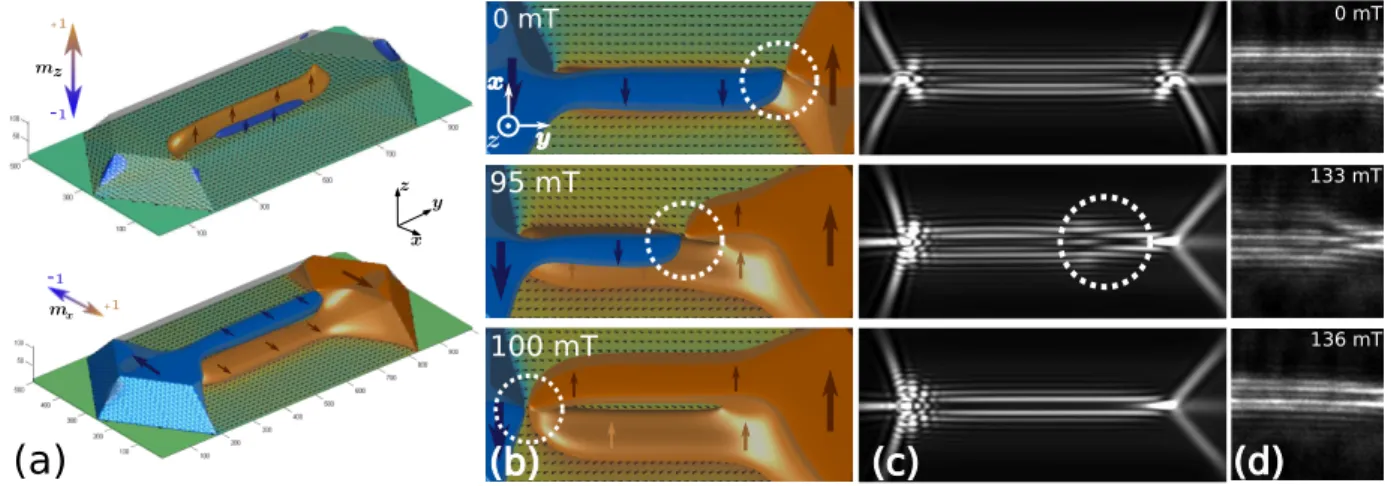 Figure 7. (Colour online) Three dimensional micromagnetic modelling of the iron dots during a transverse magnetic field application and associated computed Fresnel contrast