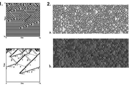 Figure 2. (1) After filtering, the types of particles (shown by Greek letters) and their interactions appear in a CA, whose final pattern seems to result from those “mechanics”