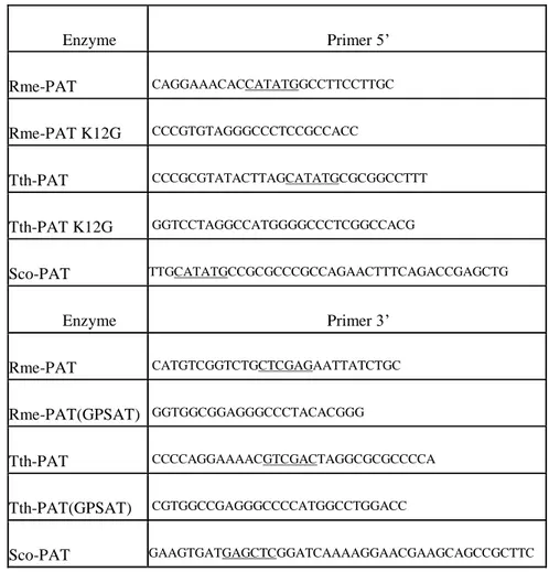 Table  4:  primers  used  for  amplification  of  Rhizobium  meliloti  (Q02635),  Thermus  thermophilus  (Q56232) and Synechochoccus Q3AK33 1AAT, and primers used for directed mutagenesis of K12G  mutants