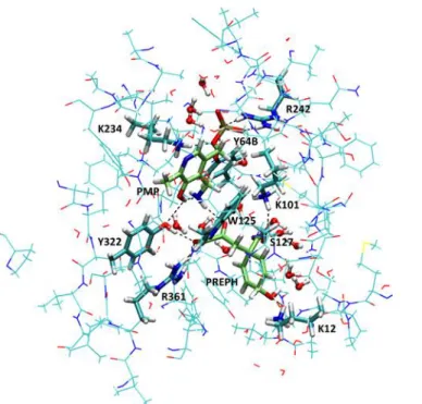 Figure 7: View of QM and QM/MM parts of the QM/MM simulation in an orientation close to  Fig