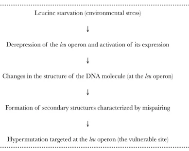 Figure 1 — The main steps of  the response to leucine starvation observed in E. 
