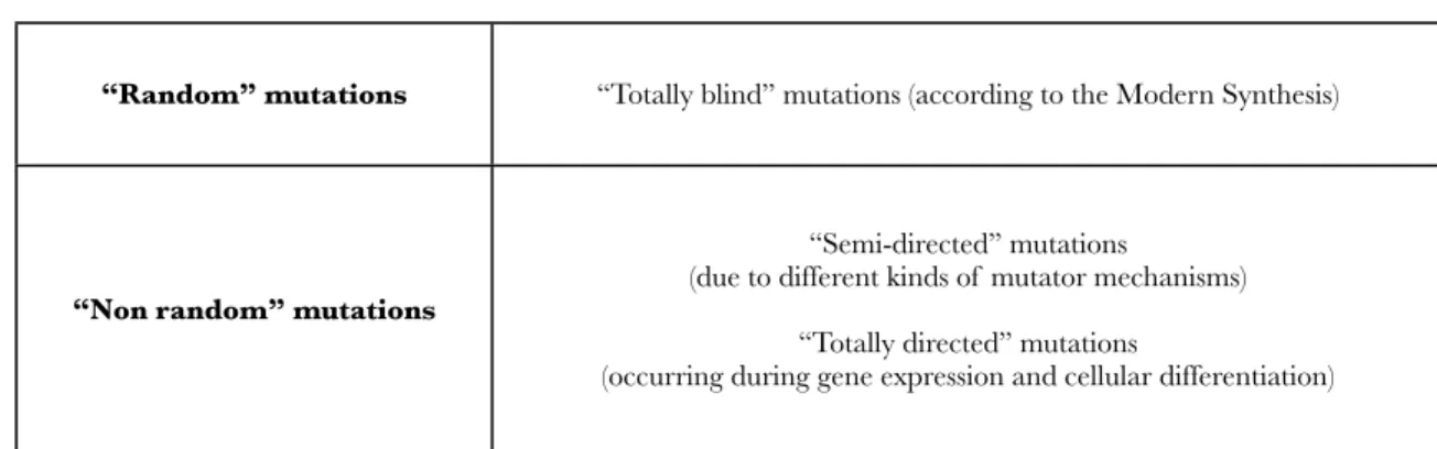 Figure 2 — The distinction between “random” mutations and “non  random” mutations according to Jablonka and Lamb (2005).