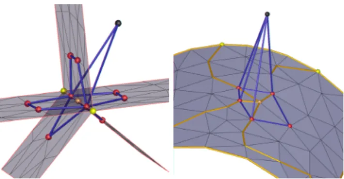 Fig. 3 Extended complex: the extended complex is deﬁned by adding to the mesh all edges and faces connecting a dummy vertex ω with the vertices and edges of the embedded polylines.