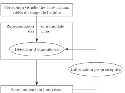 Figure 1. Un schéma conceptuel de l’hypothèse de l’AIM Perception visuelle des actes faciaux 