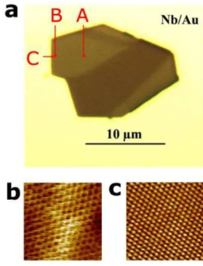 Fig. 1 Monolayer and few-layer parts of the investigated graphene sample. (a) Optical microscope image of the 