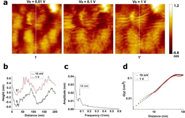 Fig.  3  (a)  Topographic  STM  images  (210x210  nm2,  I  =  0.5  nA)  performed  in  area  C  using  different  bias 