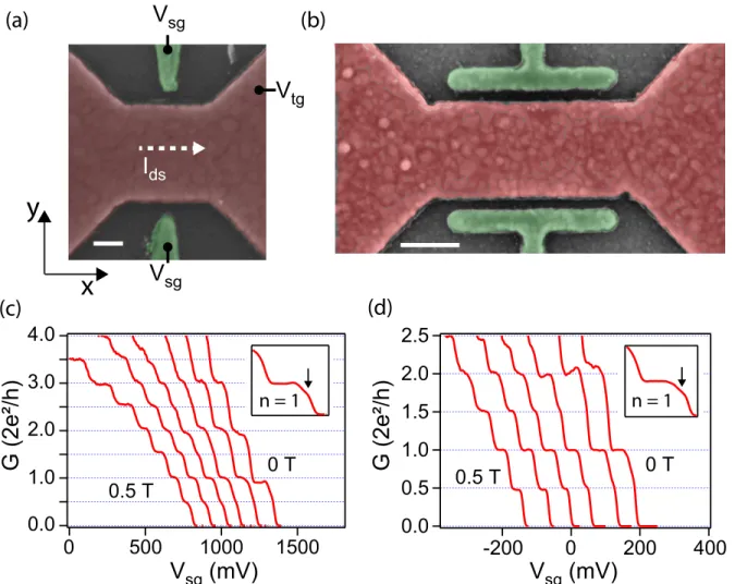 Figure 1: (a) and (b) False color scanning electron micro-graphs of representative devices.