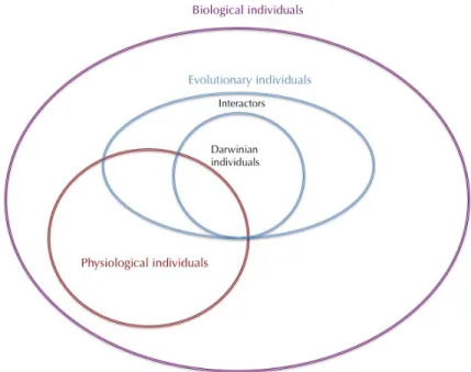 Fig.  3.  Relations  among  the  different  subcategories  of  biological  individuals