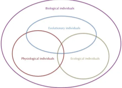 Figure 1. The broad category of “biological individual” can be divided into several subcategories, including 