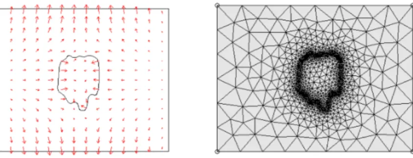 Figure 2: Example of a computed solution u i with extension u int i (left) and the corresponding computational mesh (right).