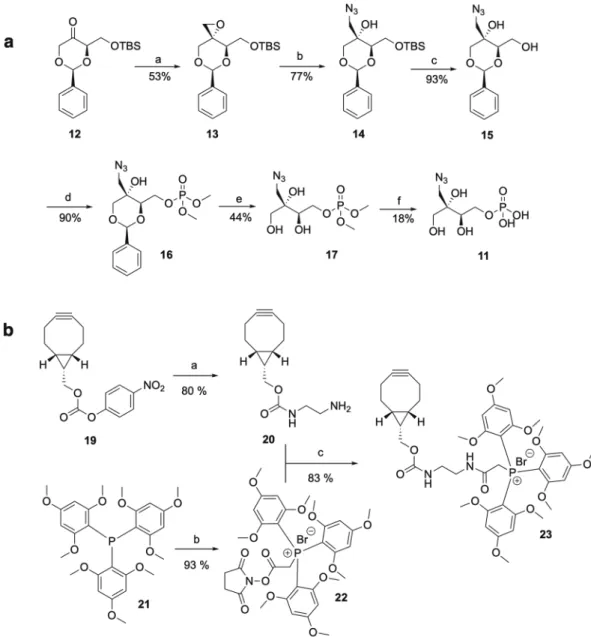 Figure 2.  Synthesis of MEPN 3  (11) and BCN-TMBPP (23). (a) Synthetic route to MEPN 3 