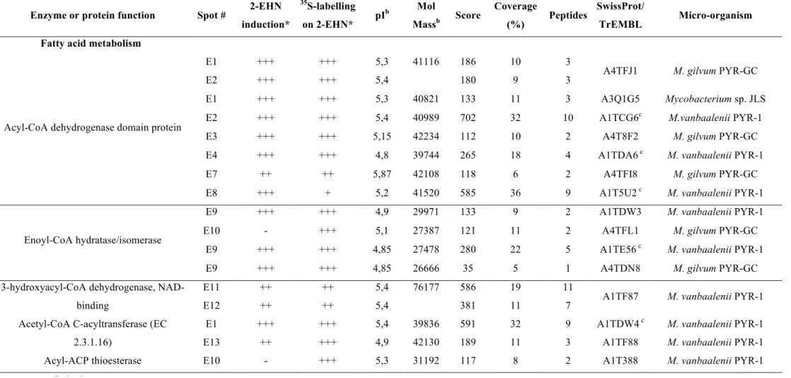Table 1: Cytoplasmic proteins up-regulated upon incubation of M. austroafricanum IFP 2173 on 2-EHN 