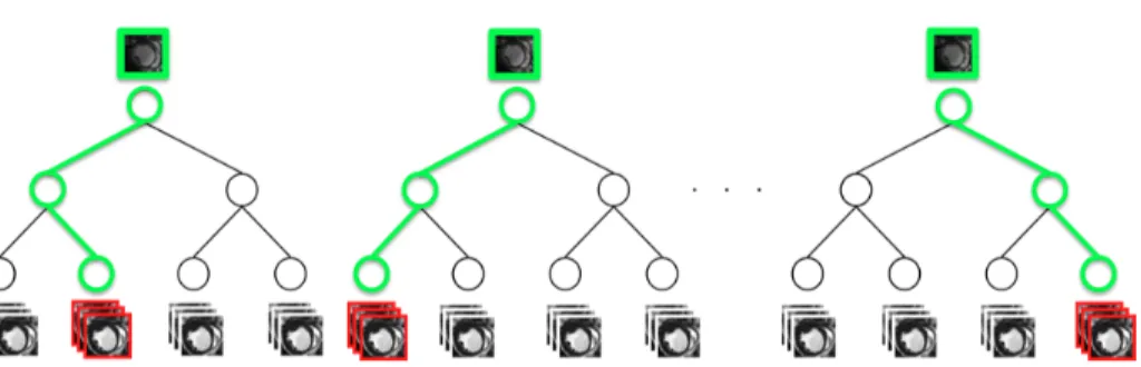 Fig. 2. The NAF testing phase. The trained NAF determines the most similar images (in the bottom/ in red) of the testing cardiac sample (in the top of each tree/
