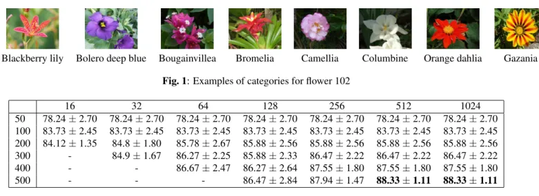 Fig. 2: Classification rate on Flower 17 for several T and several dimensions of feature