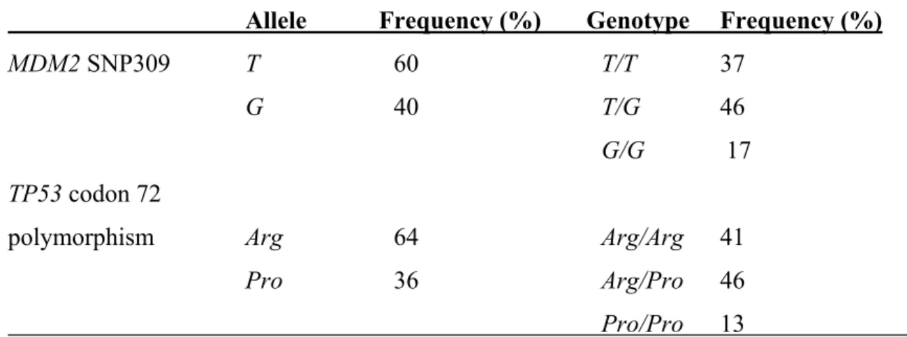 Table 1 Allele and genotype distributions of the MDM2 SNP309 and TP53 codon 72  polymorphism 