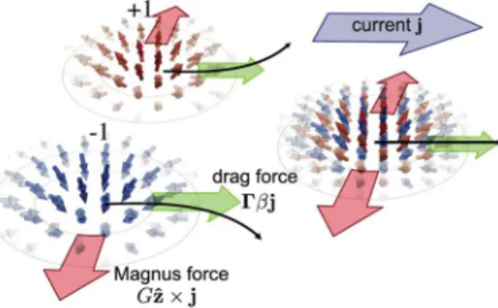 FIG. 21. The Magnus force associated with skyrmion motion (relative to either a static background or an electronic or magnonic flow) is proportional to the topological charge in the ferromagnetic case