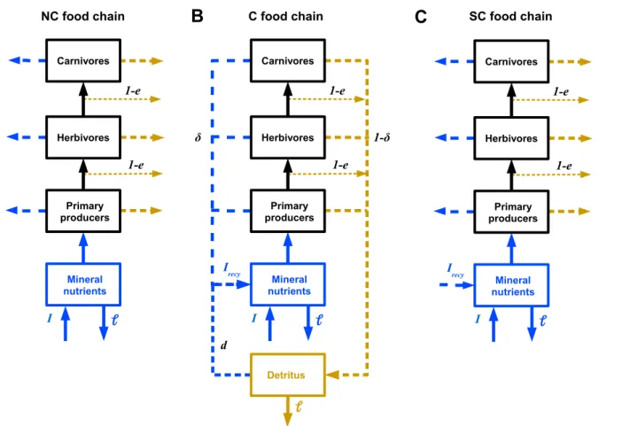 Figure 2. Diagram of the general structure of our models with and without nutrient recycling feedback loops