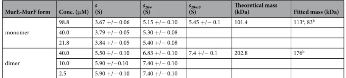 Table 3.  Sedimentation velocity AUC results for the two species of MurE-MurF analyzed at 3 different  concentrations