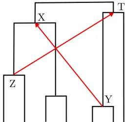 Figure 2: A set of two conflicting constraints. Each of the constraints Y → X and Z → T can be fulfilled by some ranked version of the species tree, but not both.