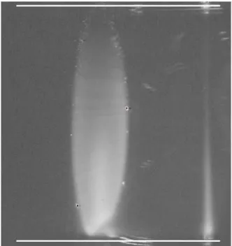 Fig. 2. Helium mist generated by atomisation in a 4 cm diame- diame-ter pipe (log-gray scale)