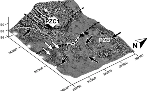 Fig. 2. Three dimensional view of the digital elevation model of the Oedenburg site overlain by artefact finds and geomagnetic map