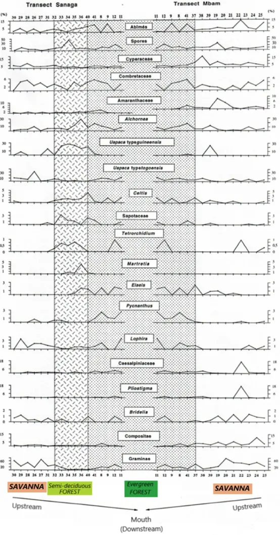 Figure 11. Spectres d'évolution des taxons caractéristiques des différents écosystèmes suivant les transects Sanaga et Mbam.