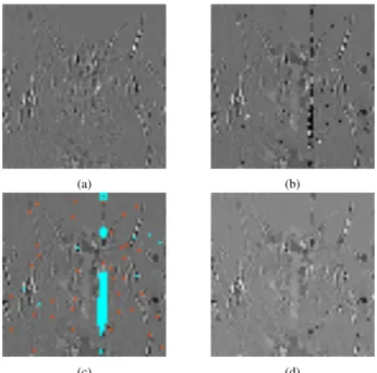Fig. 4. Visual results on a DWT subband. (a) Original subband, (b) Noisy subband after nanopore sequencing simulation, (c) Output of the automatic detection of the damaged areas (1st step in red, 2nd step in blue), (d) Inpainted subband.