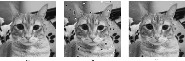 Fig. 5. Visual results of the experiment: (a) Quantized image without sequencing noise, (b) Visual impact of sequencing noise in the image encoded using the controlled mapping proposed in [9] after barcode correction, (c) Post-processed image using inpaint