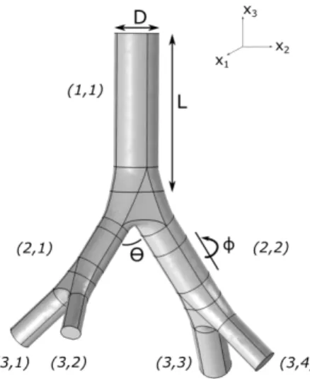 Figure 1: Representation of the tracheobronchial tree geome- geome-try composed of three generations