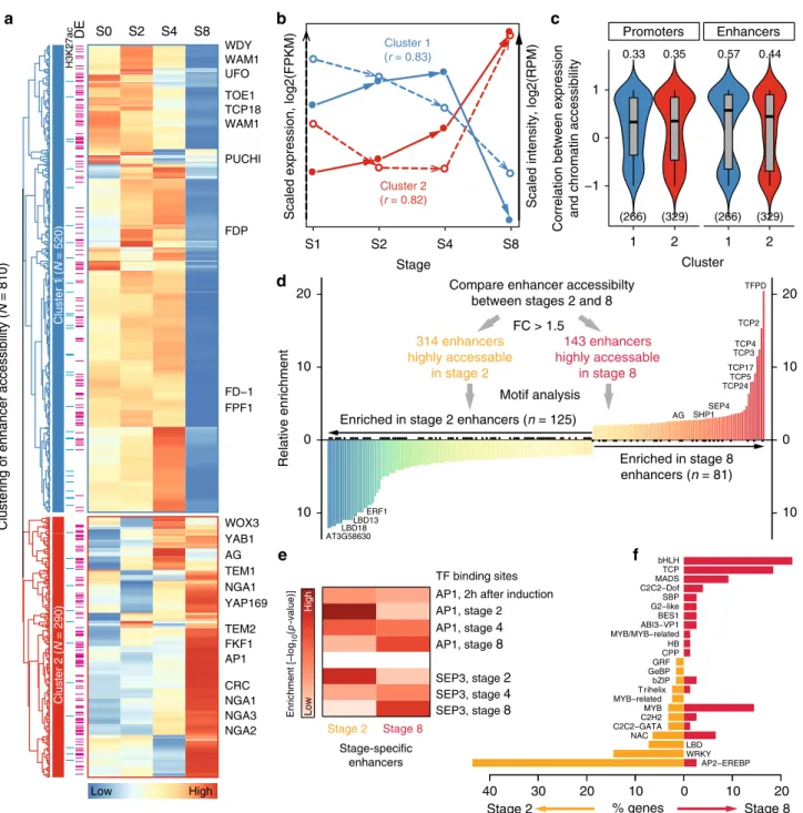 Fig. 6 Enhancers control developmental stage-speci ﬁ c gene expression programs. a Heatmap illustrating the clustering analysis of 810 enhancers whose accessibility dynamically changes for more than 1.5-fold across the four stages (from stages 0 [S0] to 4 