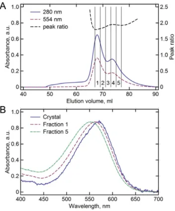 Figure 1. HmBRI size-exclusion chromatography (SEC) elution profile and visual light absorbance spectra in different environments