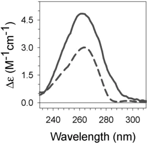 Figure  5.  Comparison  between  the  changes  induced  in  the  absorption  spectrum  of  (dA) 20 · (dT) 20  by CPD formation (damage denaturation spectra: red solid line) and by heating  (thermal denaturation spectra: green dashed line)