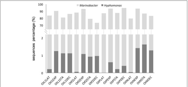 FIGURE 5 | Proportion of Marinobacter and Hyphomonas sequences obtained from total bacterial diversity (Illumina) analysis in the four