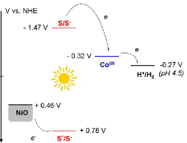 Figure  3.  Energy  diagram  of  a  NiO-based  photocathode  including  6-Co  (S  stands  for  the  sensitizing part of the photocatalytic system, i.e
