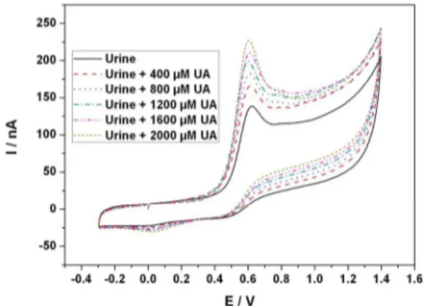 Figure 2 : Cyclic voltammograms of urine diluted by 2 fold and  that of diluted urine containing added uric acid (250 – 1250µM)  scanned  at  20  Vs -1 