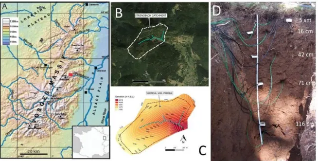 Figure  1.  (A)  Regional  map  of  the  Vosges  Massif  and  location  of  the  Strengbach  catchment